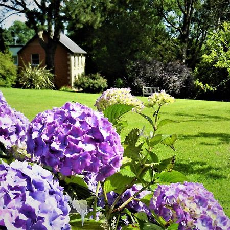 Ffynnon Fendigaid Bed And Breakfast Aberporth Kültér fotó