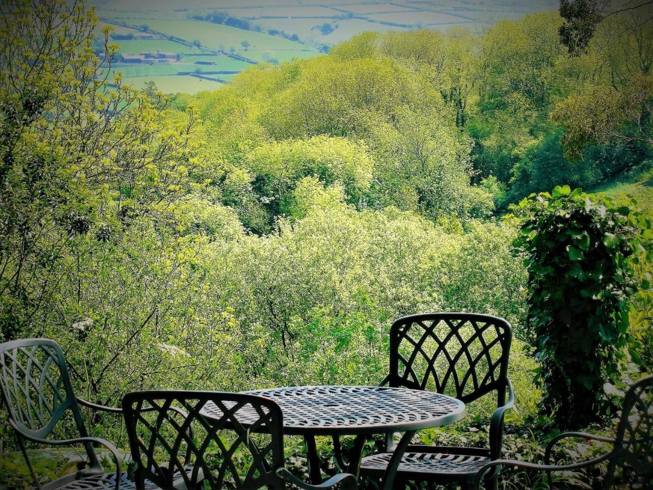 Ffynnon Fendigaid Bed And Breakfast Aberporth Kültér fotó